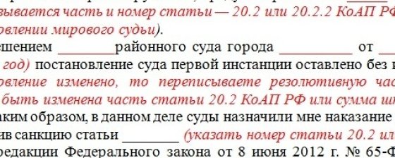 Опубликован типовой документ для обжалования штрафов за участие в митингах