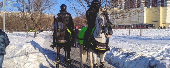 Список задержанных в связи с судом над Алексеем Навальным 2 февраля 2021 года